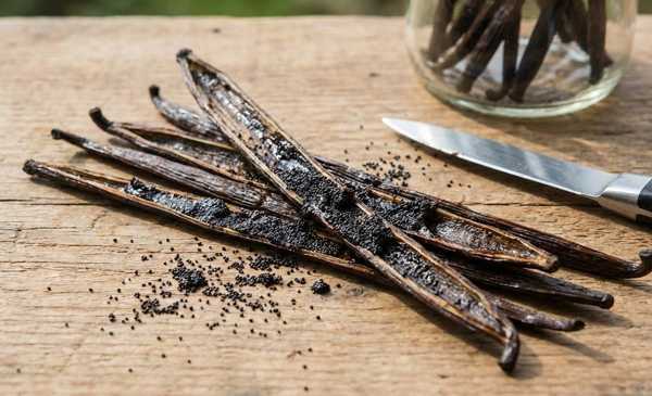 pompoenpuree vanillestokjes