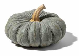 Fairytale pompoensoort