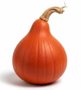 Kuri Pumpkin - Red Kuri