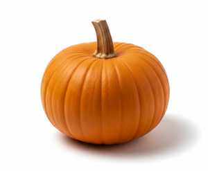 Pie Pumpkin pompoensoort